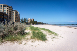 Glenelg Beach