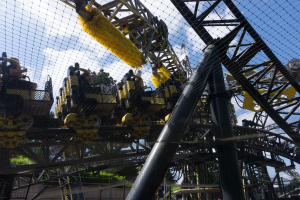The Smiler