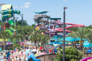 Walhalla Wave, Traumata Racer and Hooroo Run