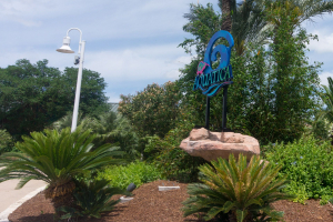 Aquatica San Antonio