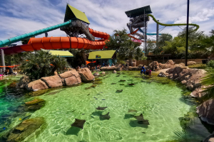 Stingray Falls • Proslide Mammoth