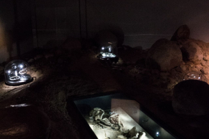 Archäologisches Museum Hamburg