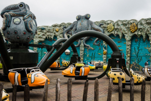 Octopus