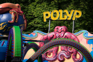 Polyp