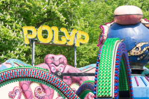 Polyp
