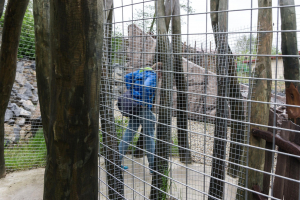 Bayern Park