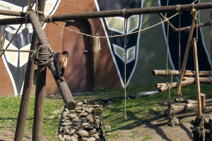 Animals at Bellewaerde / Tiere in Bellewaerde