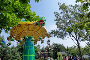 Skildpadden