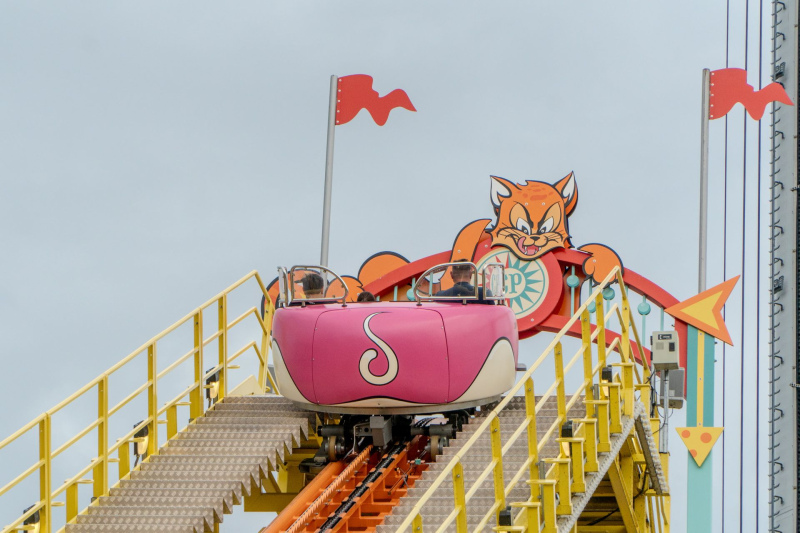 Wild Mouse