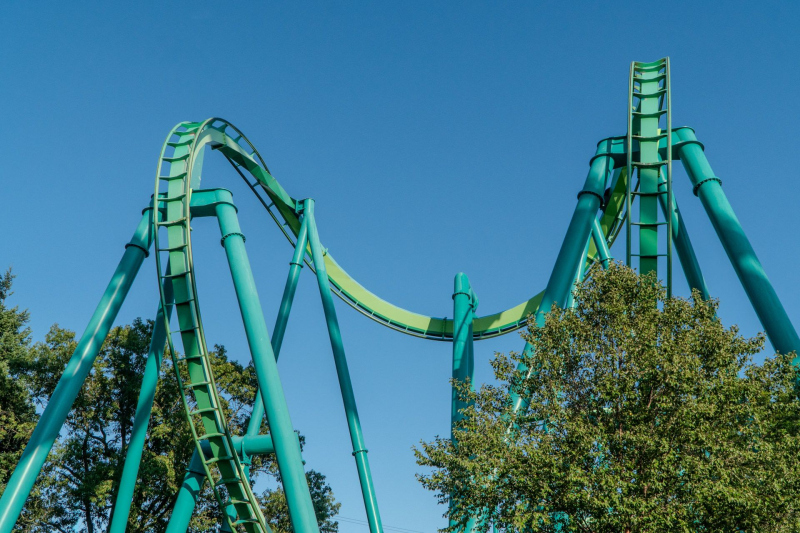 Raptor