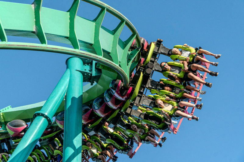 Raptor