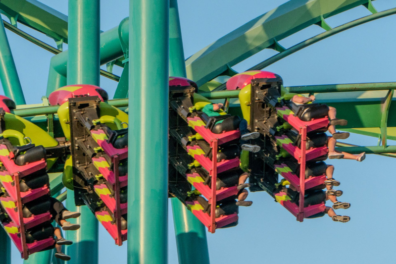 Raptor