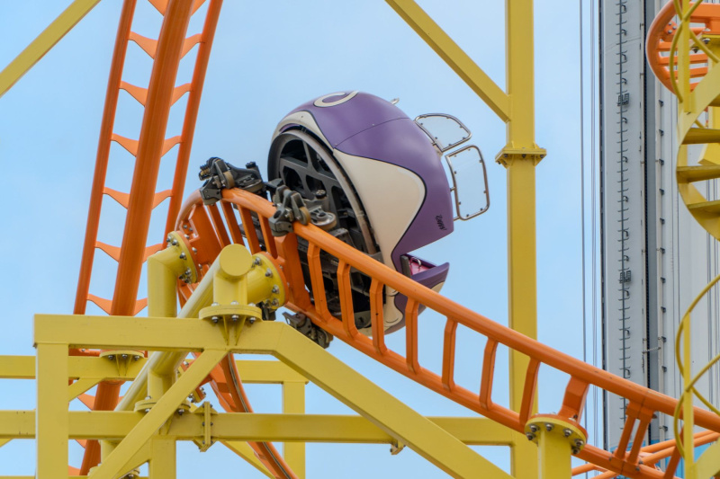 Wild Mouse