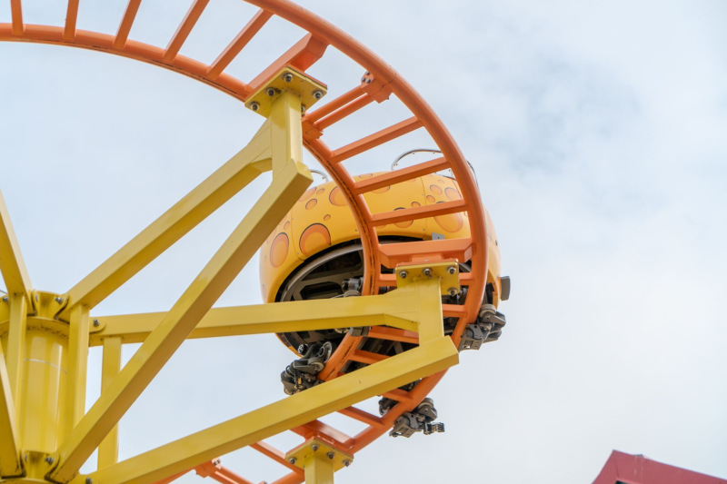 Wild Mouse