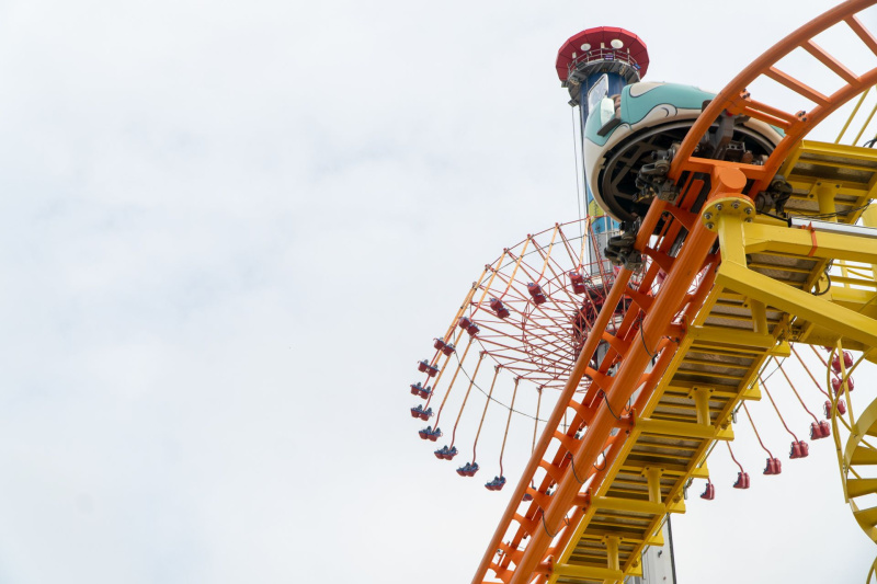 Wild Mouse
