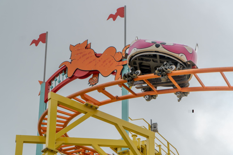 Wild Mouse