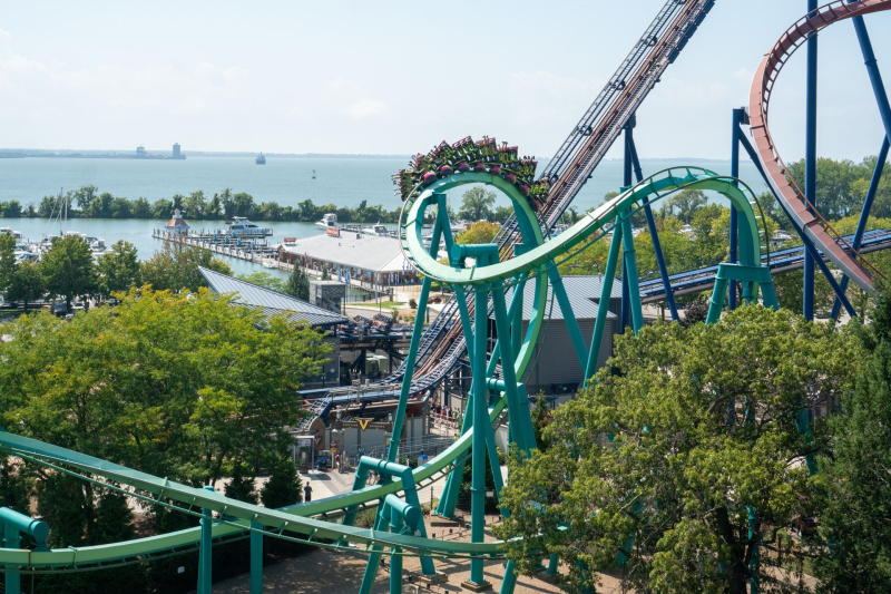 Raptor