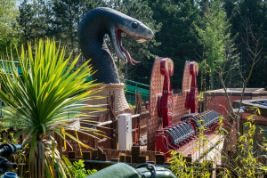 Mamba Strike