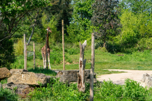 Chessington World of Adventures