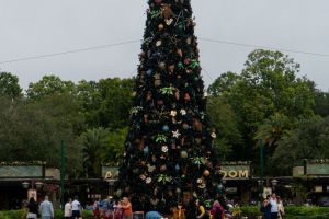 Animal Kingdom
