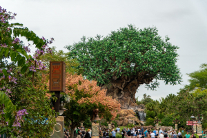 Animal Kingdom