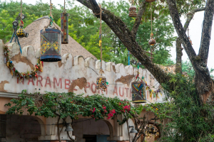 Animal Kingdom