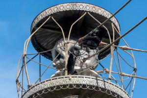 Maharajah Jungle Trek