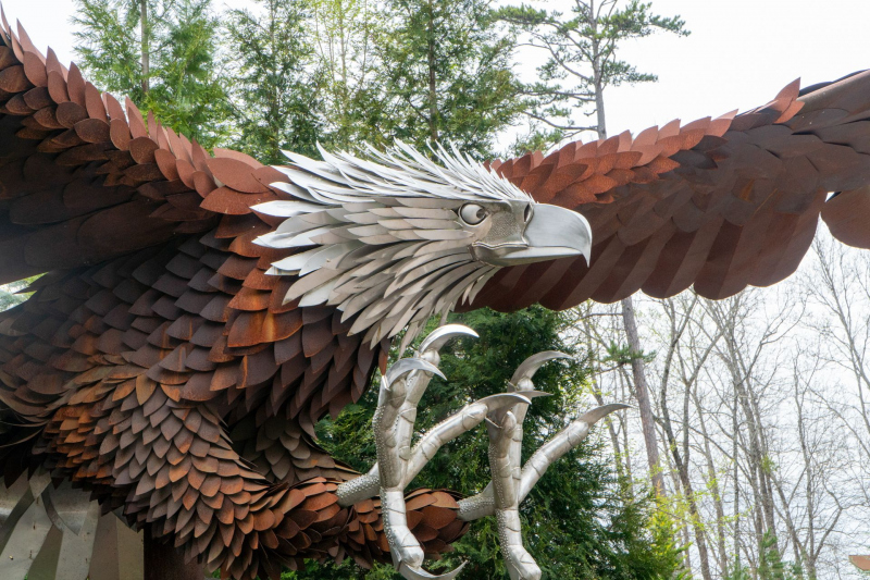 Wild Eagle
