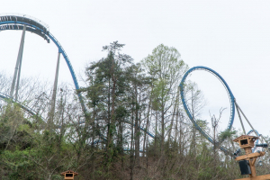 Wild Eagle