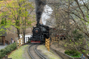 Dollywood Express