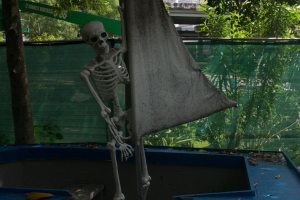 Downtown Aquatium Houston