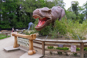 Dino Trail