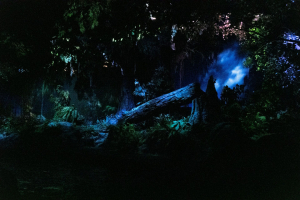 Living with the Land