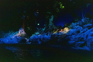 Living with the Land