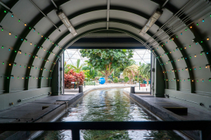 Living with the Land