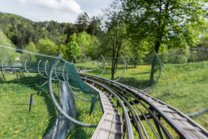Frankenbob • Wiegand Alpine Coaster