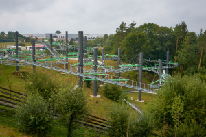 Hexenbesen • Wie-Hex