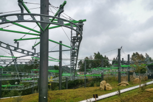 Hexenbesen • Wie-Hex