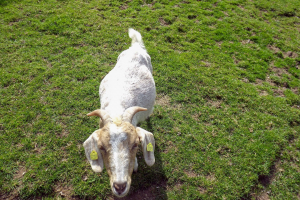 Erlebnispark Steinau