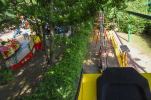 Butterfly • Heege Butterfly