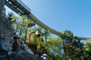 Schweizer Bobbahn • Mack Rides Bobbahn