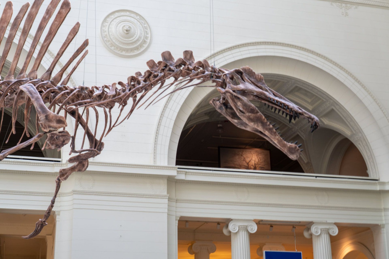 Field Museum of Natural History