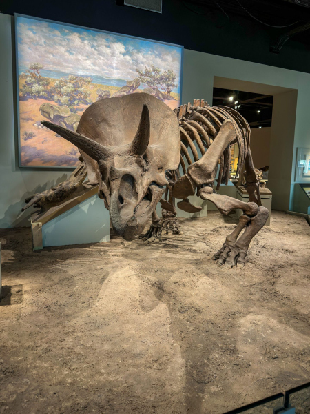 Field Museum of Natural History