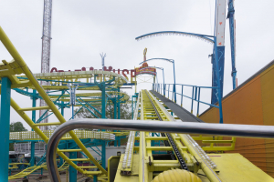 Crazy Mouse (Degousée)