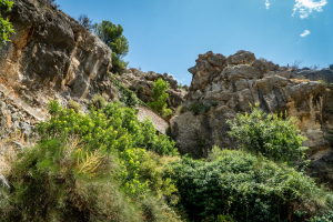 Fonts de l'Algar