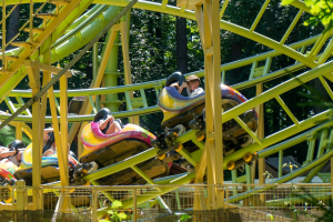 Cobra Coaster