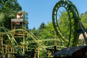 Cobra Coaster