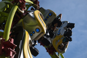 Cobra • Interpark Wildwind