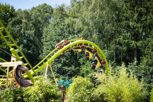 Cobra • Interpark Wildwind