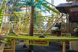 Cobra • Interpark Wildwind